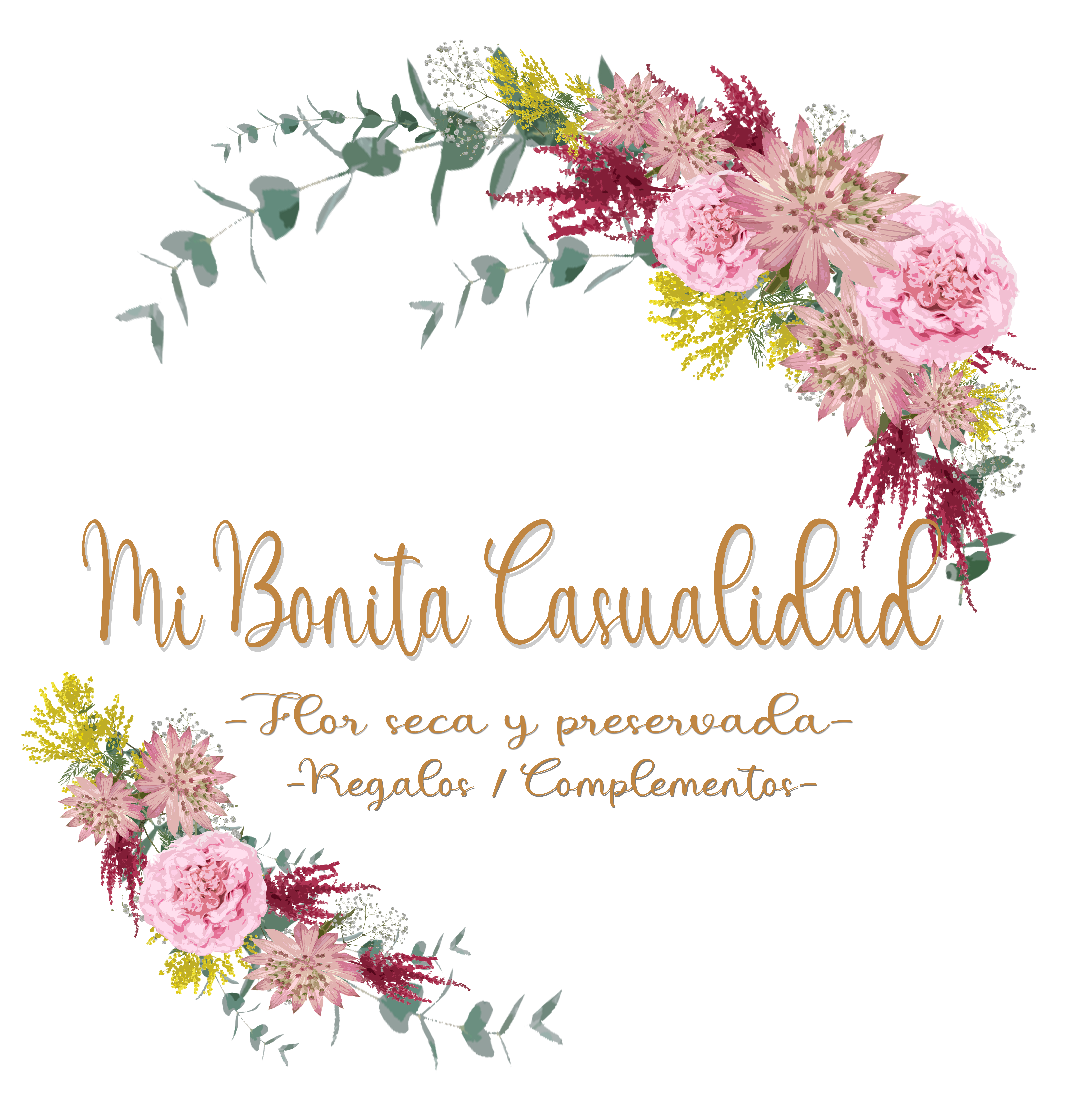 Mi Bonita Casualidad